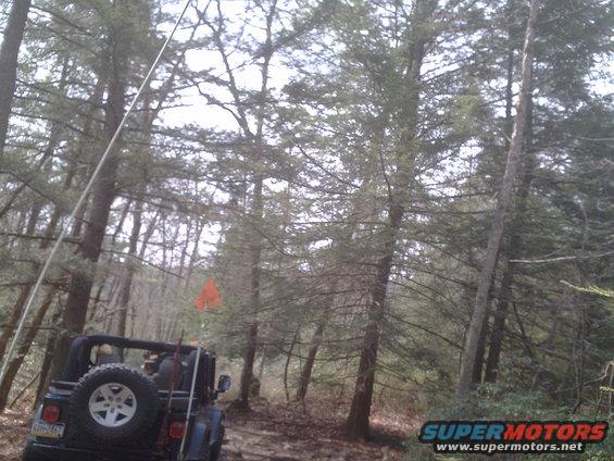 Black Jeep Wrangler rear view with spare tire on forest trail
