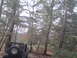 1991 Ford Bronco - A black Jeep Wrangler is seen from the rear on a muddy forest trail, with another vehicle partially visible behind it.