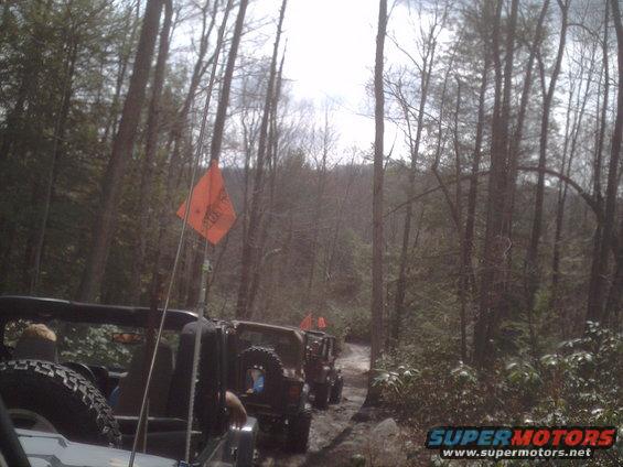Several dark-colored Jeeps driving on a muddy, wooded trail with orange flags