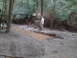 1991 Ford Bronco - Two people stand near a muddy, water-filled trail in a wooded area.