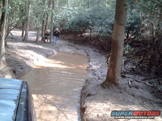 Front view of dark SUV driving through muddy water in a forest