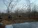 1991 Ford Bronco - Off-road vehicles traverse a wooded area with sparse trees and dry brush.