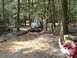 1991 Ford Bronco - Multiple Jeeps navigate a muddy water obstacle in a wooded area.