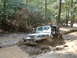 1991 Ford Bronco - A Jeep Wrangler navigates a challenging muddy off-road course surrounded by dense forest.
