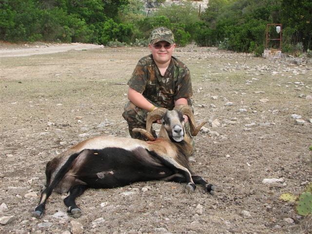 Hunter in camouflage poses with a large ram lying on the ground