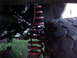 1982 Ford Bronco - Close-up view of a vehicle's suspension coil and tire.