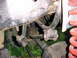 1982 Ford Bronco - This image shows a close-up view of the suspension system of a vehicle, focusing on various mechanical components.