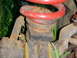 1982 Ford Bronco - Close-up view of a red suspension coil and its rusty mounting hardware, with green foliage in the background.