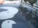 1992 Ford Ranger - Peeling paint on the hood of a dark vehicle, with roof-mounted lights and another vehicle in the background.
