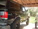 1989 Ford Bronco photo