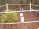 1995 Dodge 1500 - A somber gravesite scene is depicted, marked by headstones and an American flag under a canopy of trees.