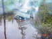 1995 Dodge 1500 - A green SUV is stuck in murky water, with onlookers gathered in the background.