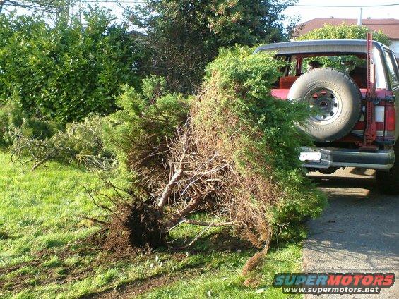 yard-work-new-house-051a.jpg no sweat