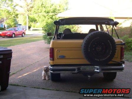 Yellow Ford Bronco parked in driveway, spare tire on rear door. Red car in background. Small dog sits by rear bumper