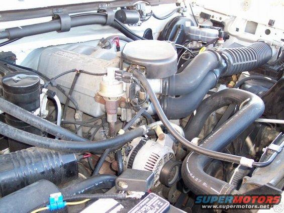 Engine bay with hoses, alternator, and distributor