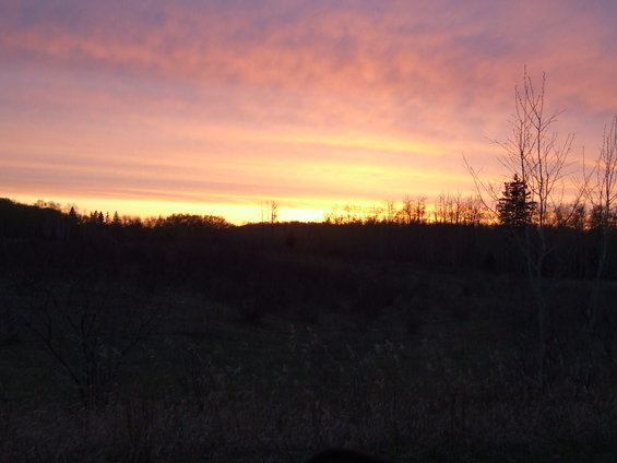 Still setting.