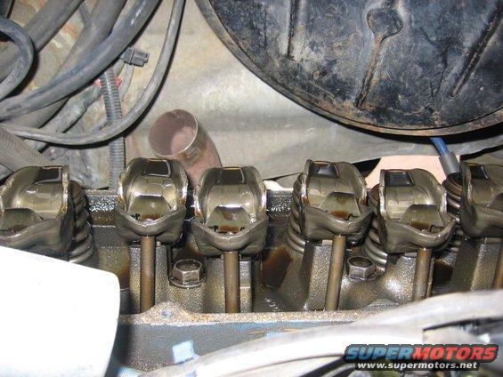 Close-up of engine lifters and pushrods, some oil visible