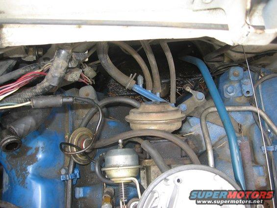 Engine bay with vacuum hoses and wiring visible