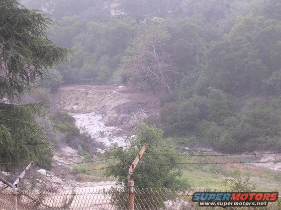 Misty hillside with trees and a dry creek bed, fence in foreground