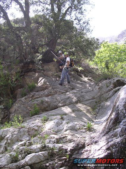 People rappelling down a rocky slope with a waterfall on the right, trees overhead