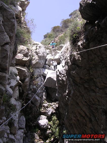 Two people are rappelling down a steep, rocky canyon with ropes and harnesses. Vegetation grows on the canyon walls