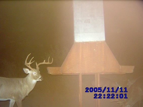 South East La Rosita

the first pic is the buck i killed with my bow