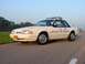 1993 Ford Mustang - A white 1993 Ford Mustang police car is parked on a road with a grassy area and trees in the background.