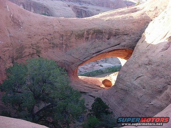 dscn0399.jpg The Arch up on Poisen Spider Mesa.  (Window Arch I think?)