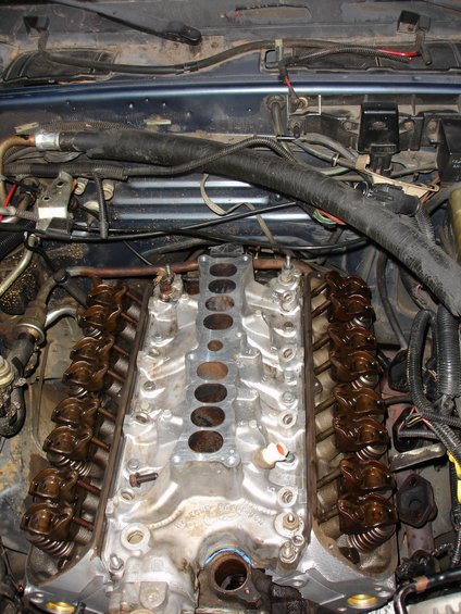 engine intake manifold removed, showing valve train components