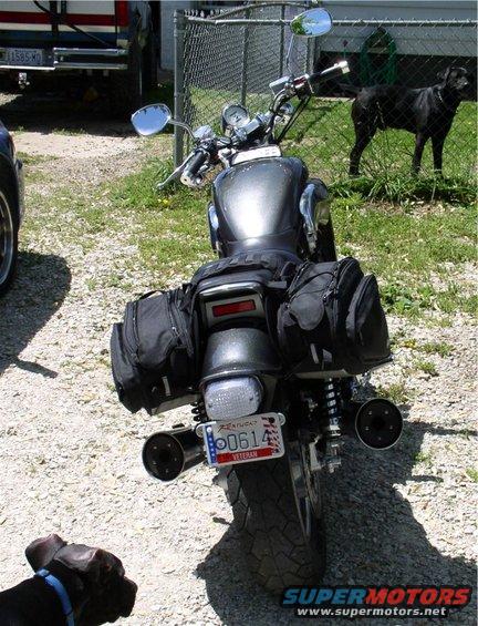 Motorcycle rear view with saddlebags and a license plate that says 'VETERAN'. Two dogs are visible