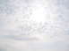1979 Ford F-250 - The image shows a cloudy sky with the sun partially obscured, and a website logo at the bottom right.