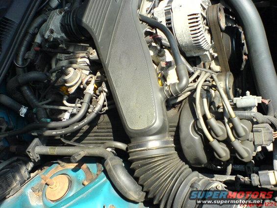 Engine bay with spark plug wires and alternator