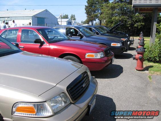 Several Ford Crown Victorias parked in a row, one red, one tan in foreground