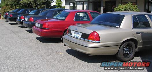 Rear view of a gold 1998 Ford Crown Victoria, with other Crown Victorias behind it
