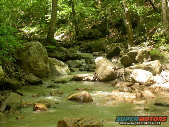 dscn4940.jpg Would you drive over this?