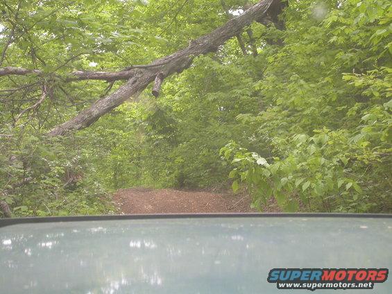 dscn4942.jpg Some of the trails could have been maintained a little better.  Driving under this didn't really make me happy, Juice52 barely squeezed under it because of his rook rack.