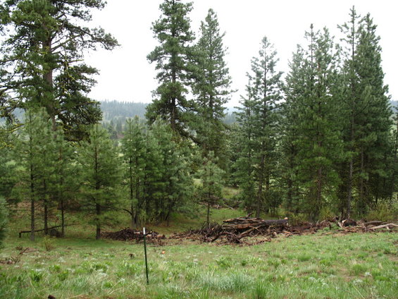 trip-to-the-cabin-008_8_3_1.jpg 