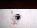1978 Ford Bronco - A close-up view shows a drilled hole on a white surface, with a visible logo at the bottom right.