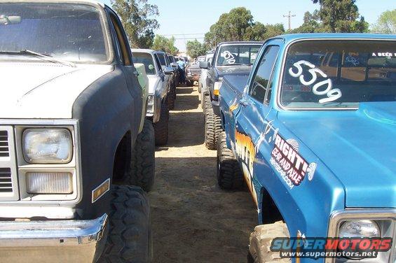 Several pickup trucks parked in a line, some with large tires and custom graphics