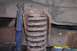 1982 Ford Bronco - Coil and Shock Tower