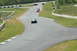 1993 Ford Mustang - Cars compete on a winding race track with trees and barriers lining the course.