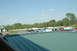 1993 Ford Mustang - A wide view of a parking area with various vehicles and tents, set against a backdrop of trees.