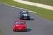 1993 Ford Mustang - Two Ford Mustang race cars compete on a track, one red and one blue.