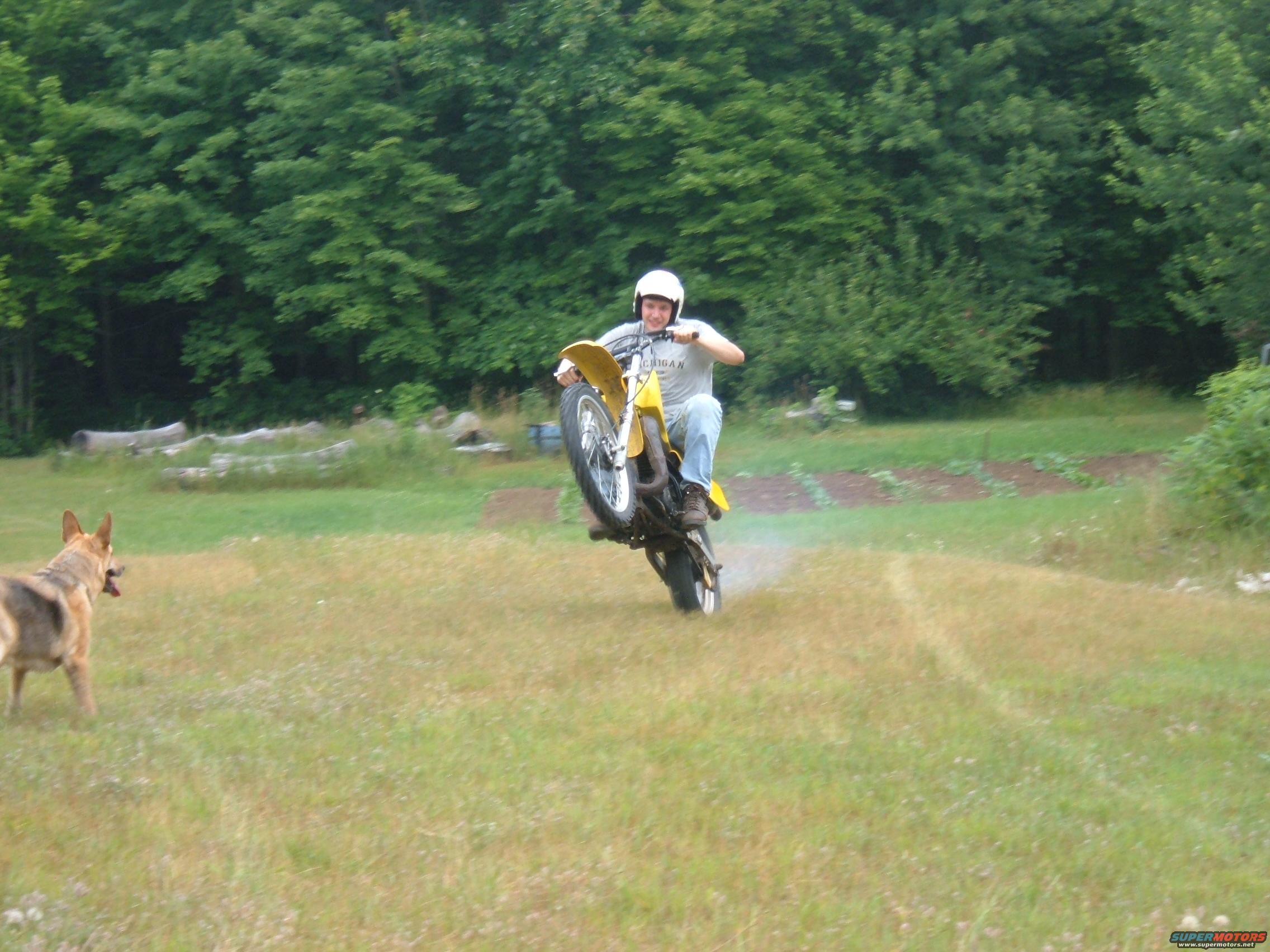 1984 Yamaha YZ490 photo