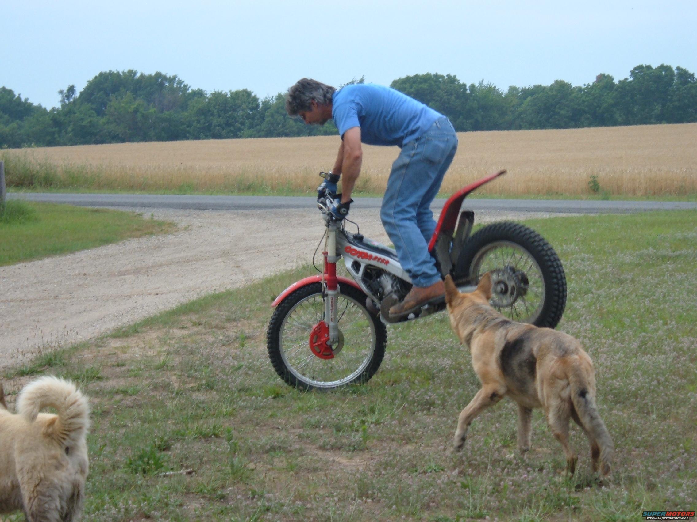 1984 Yamaha YZ490 photo