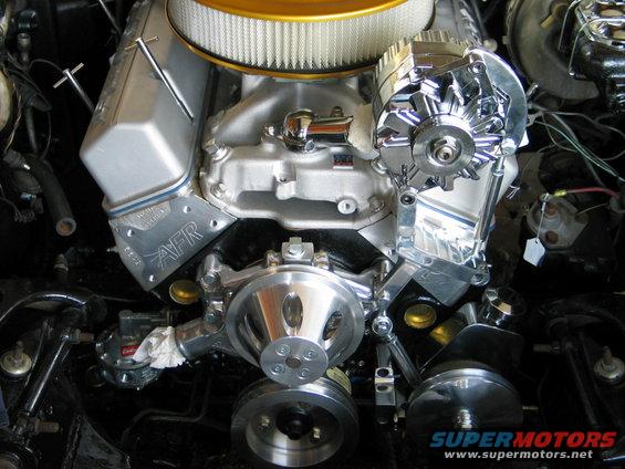 img_5212.jpg Zoops look great