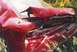 2000 Mercury Sable
