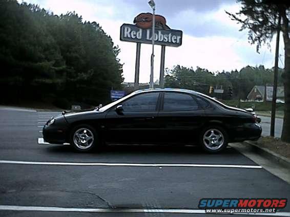 black_sho.jpg Black SHO spotted around town. 3/17/02