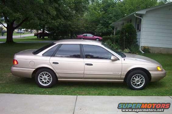 profile.jpg Side Shot.