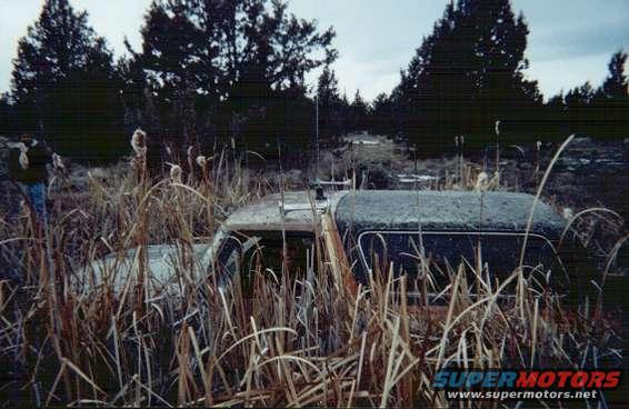 camo.jpg I didn't get too far in this little hole